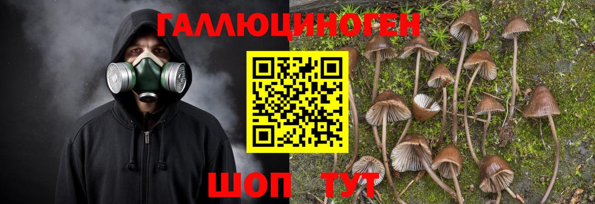 Коркино  Псилоцибиновые грибы Psilocybine cubensis  Вход с VPN  где купить наркоту  Галлюциногенные грибы Cubensis 